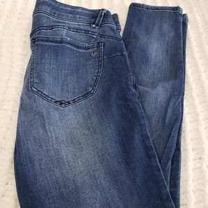 Democracy "AB" Solution Jeggings